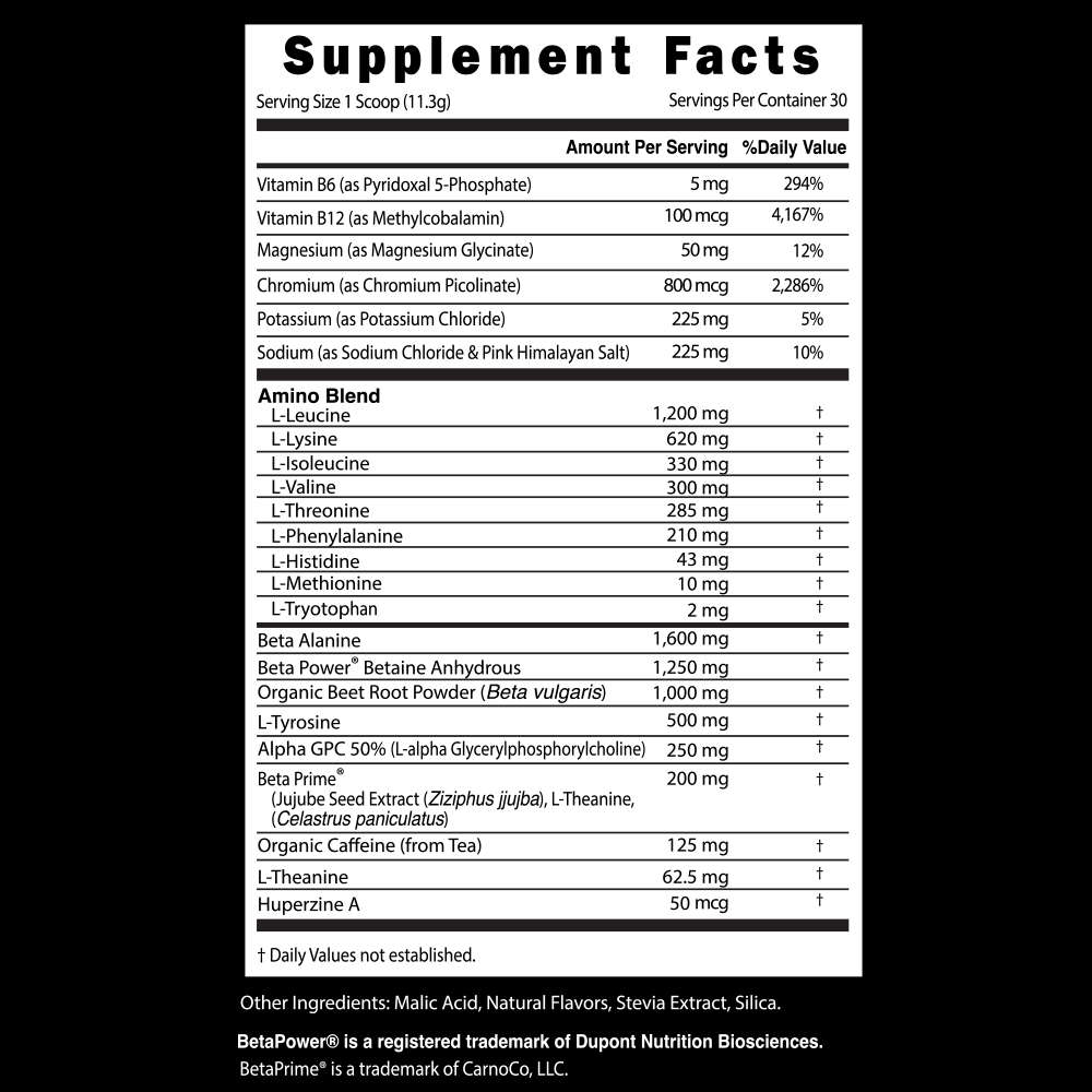 E3 - Energy, Endurance, Electrolytes - Lifetime Commit Publishing LLC